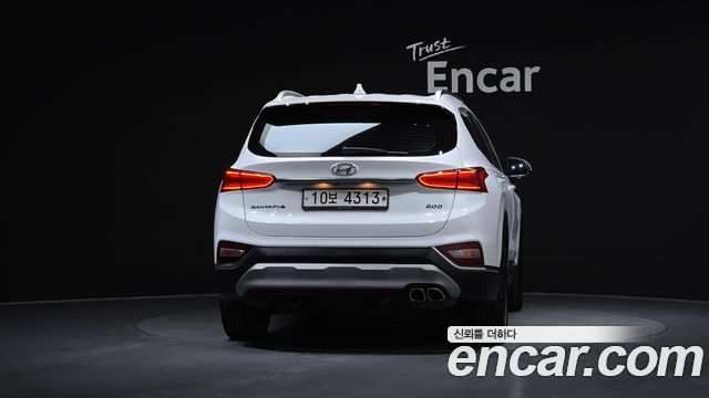 Hyundai Santa Fe (TM) Diesel 2,0 4WD Exclusive Special 2019 — фото 4
