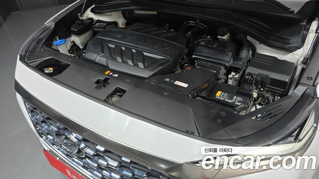 Hyundai Santa Fe (TM) Diesel 2,0 4WD Exclusive Special 2019 — фото 6