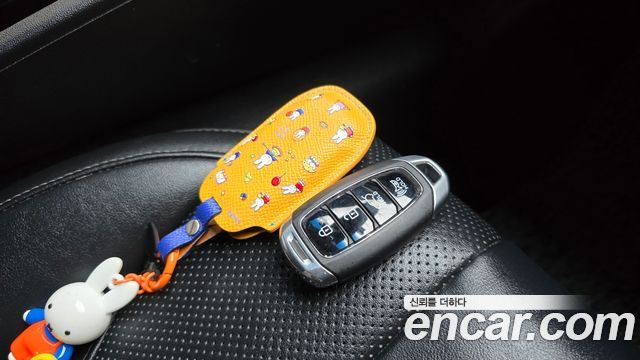 Hyundai Santa Fe (TM) Diesel 2,0 4WD Exclusive Special 2019 — фото 17
