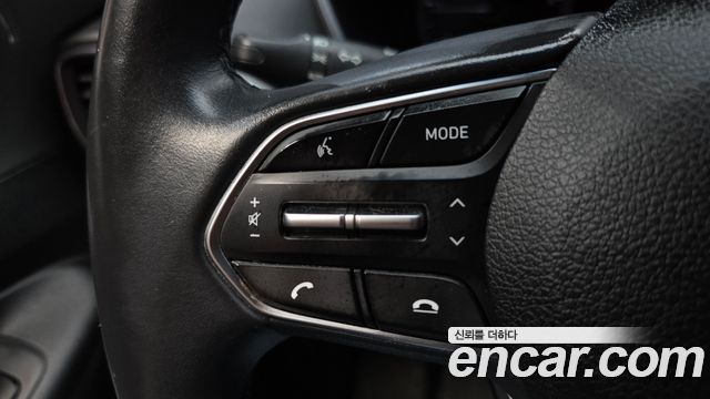 Hyundai Santa Fe (TM) Diesel 2,0 4WD Exclusive Special 2019 — фото 19