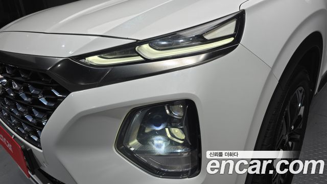 Hyundai Santa Fe (TM) Diesel 2,0 4WD Exclusive Special 2019 — фото 22