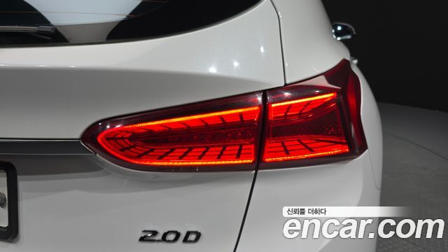 Hyundai Santa Fe (TM) Diesel 2,0 4WD Exclusive Special 2019 — фото 23