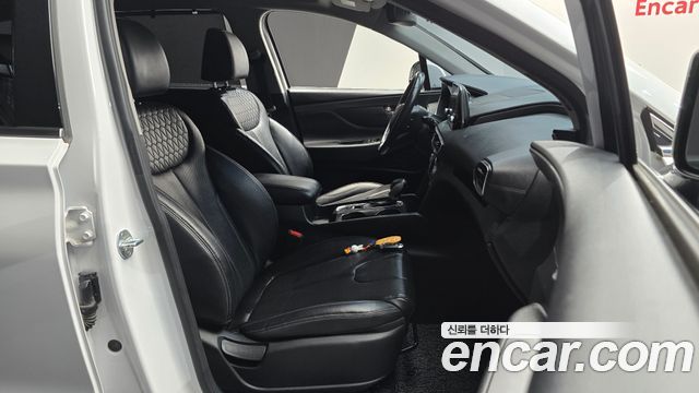 Hyundai Santa Fe (TM) Diesel 2,0 4WD Exclusive Special 2019 — фото 26