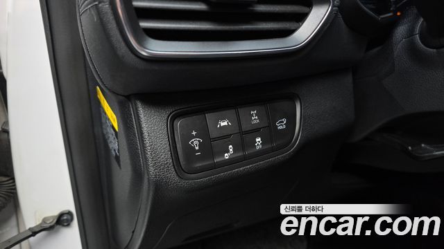 Hyundai Santa Fe (TM) Diesel 2,0 4WD Exclusive Special 2019 — фото 29