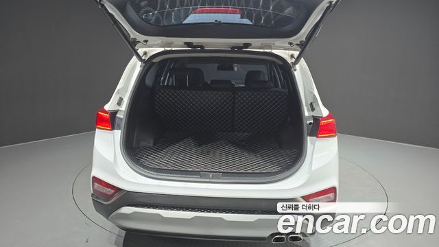 Hyundai Santa Fe (TM) Diesel 2,0 4WD Exclusive Special 2019 — фото 34