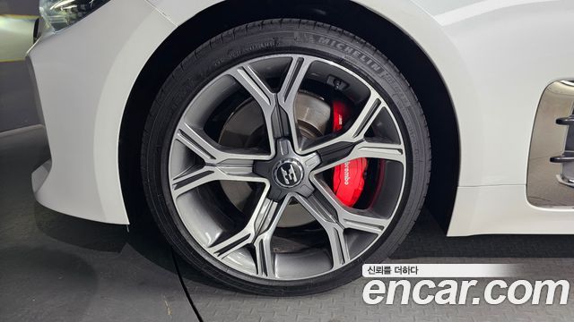 Kia Stinger 2.0 Turbo 2WD Platinum 2019 — фото 5