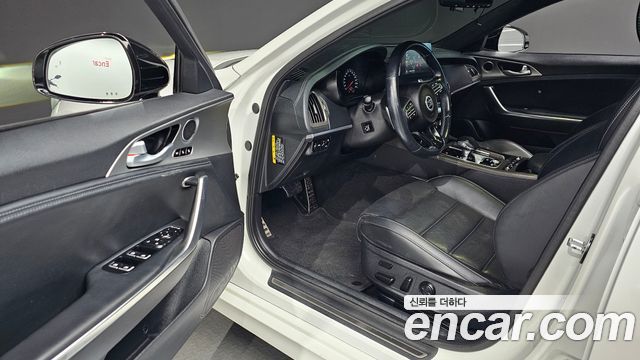 Kia Stinger 2.0 Turbo 2WD Platinum 2019 — фото 10