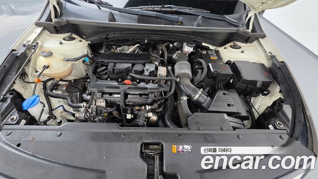 Kia Sportage (V) Gasoline 1.6 Turbo 2WD Prestige 2022 — фото 6