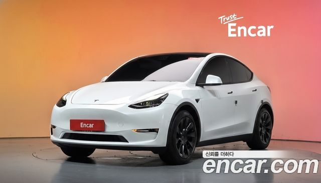 Tesla Model Y Standard Range RWD 2021 — фото 1