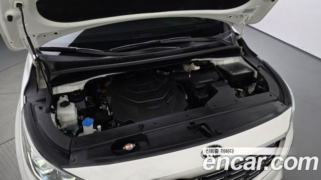Kia Carnival Gasoline 7-Seater Limousine President 2019 — фото 6