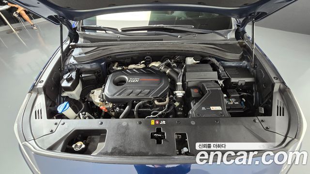 Hyundai Santa Fe (TM) Gasoline 2.0T 4WD Inspiration 2019 — фото 6