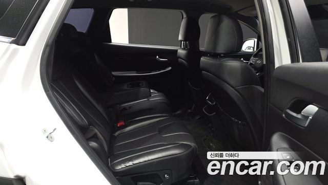 Hyundai Santa Fe (TM) Diesel 2.0 2WD Premium 2019 — фото 12