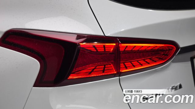 Hyundai Santa Fe (TM) Diesel 2.0 2WD Premium 2019 — фото 23
