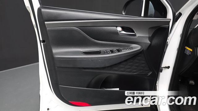 Hyundai Santa Fe (TM) Diesel 2.0 2WD Premium 2019 — фото 24