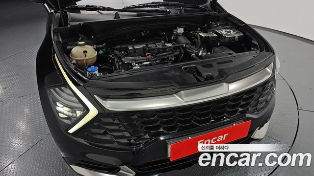Kia Sportage (V) Gasoline 1.6 Turbo 2WD Prestige 2022 — фото 6