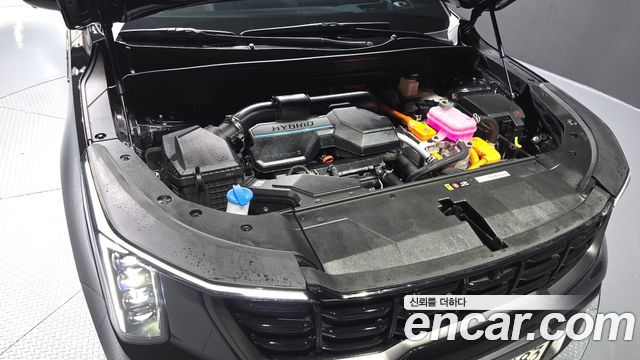 Kia Sorento (IV) HEV 1.6 4WD Gravity 2025 — фото 6