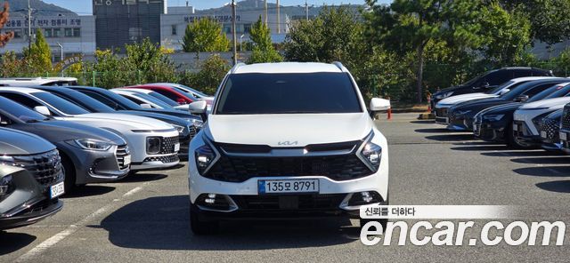 Kia Sportage (V) Gasoline 1.6 Turbo 2WD Signature 2023 — фото 2