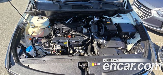 Kia Sportage (V) Gasoline 1.6 Turbo 2WD Signature 2023 — фото 23