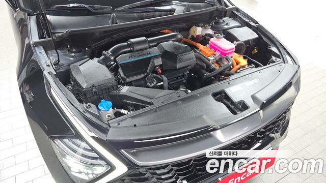 Kia Sportage Hybrid (V) Signature 2WD 2023 — фото 6