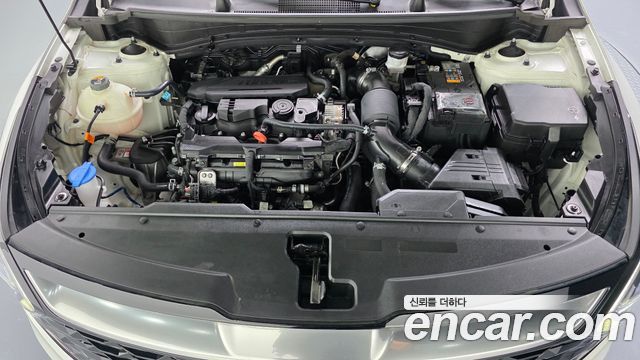 Kia Sportage (V) Gasoline 1.6 Turbo 2WD Nobleless 2023 — фото 6