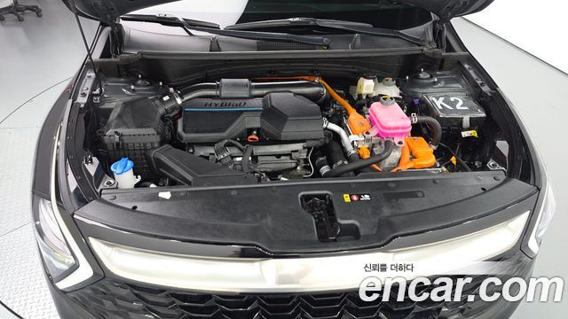 Kia Sportage Hybrid (V) Nobleless 2WD 2024 — фото 6