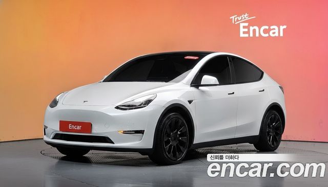 Tesla Model Y Long Range AWD 2021 — фото 1