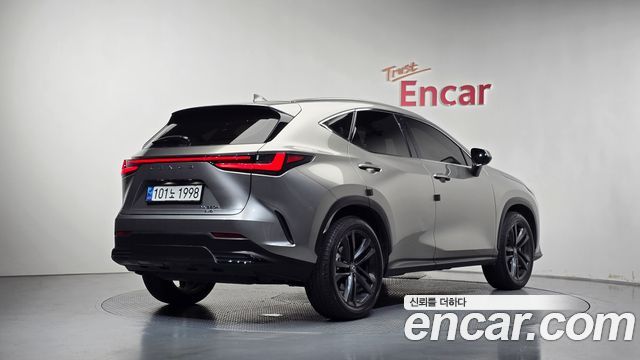 Lexus NX350h (II) Premium 2024 — фото 2
