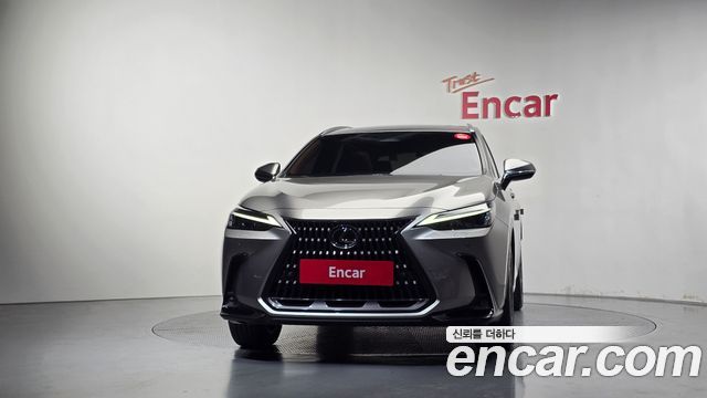 Lexus NX350h (II) Premium 2024 — фото 3