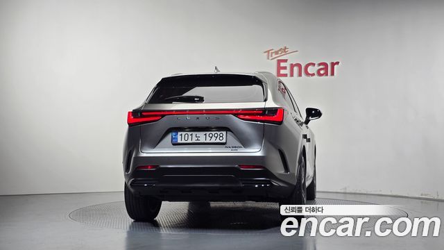 Lexus NX350h (II) Premium 2024 — фото 4