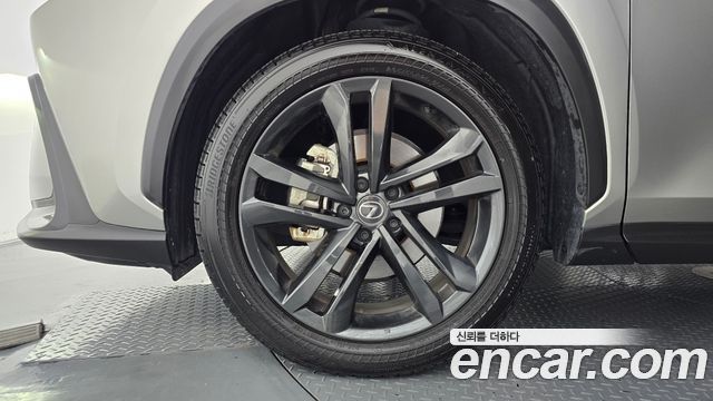 Lexus NX350h (II) Premium 2024 — фото 5