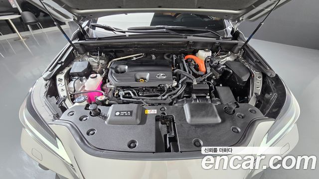 Lexus NX350h (II) Premium 2024 — фото 6