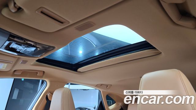 Lexus NX350h (II) Premium 2024 — фото 16