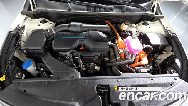 Kia Sportage Hybrid (V) Nobleless 2WD 2023 — фото 6