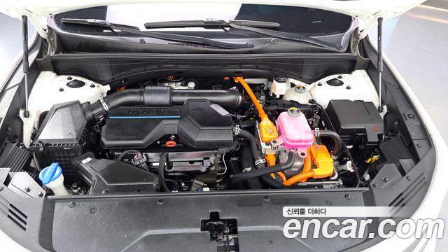 Kia Sorento (IV) HEV 1.6 2WD Signature 2023 — фото 6