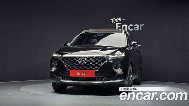 Hyundai Santa Fe (TM) Diesel 2.0 2WD Exclusive Special 2019 — фото 3