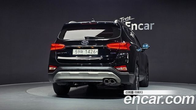 Hyundai Santa Fe (TM) Diesel 2.0 2WD Exclusive Special 2019 — фото 4