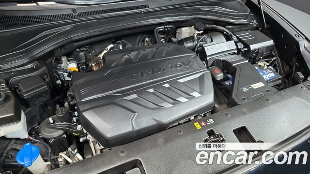 Hyundai Santa Fe (TM) Diesel 2.0 2WD Exclusive Special 2019 — фото 6