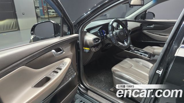 Hyundai Santa Fe (TM) Diesel 2.0 2WD Exclusive Special 2019 — фото 10