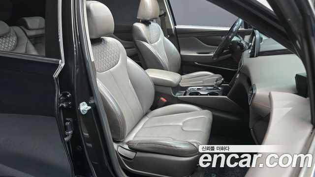 Hyundai Santa Fe (TM) Diesel 2.0 2WD Exclusive Special 2019 — фото 12