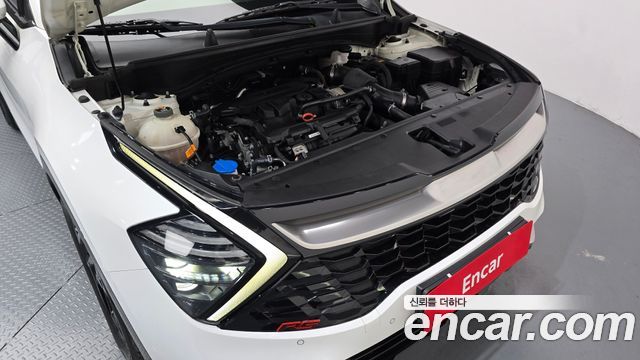 Kia Sportage (V) Gasoline 1.6 Turbo 2WD Nobleless 2022 — фото 6