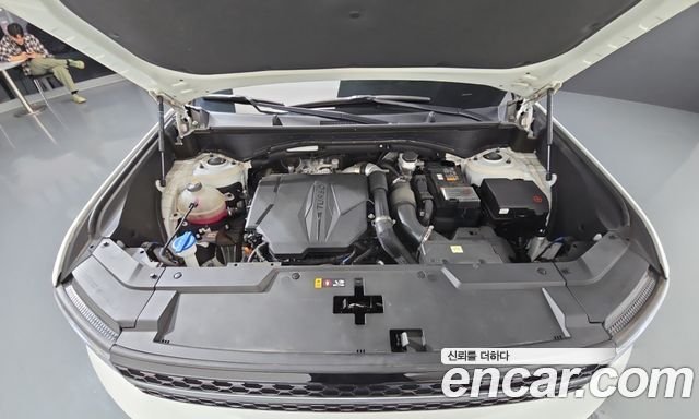 Hyundai Santa Fe (MX5) Gasoline 2.5T 4WD Calligraphy 2024 — фото 6
