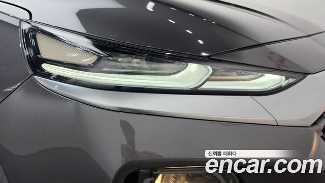 Hyundai Santa Fe (TM) Diesel 2.0 2WD Exclusive 2020 — фото 22