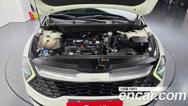 Kia Sportage (V) Gasoline 1.6 Turbo 2WD Nobleless 2023 — фото 6