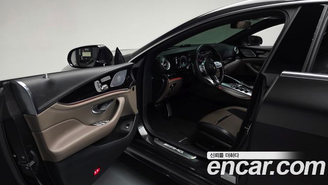 Mercedes-Benz AMG GT 4Door 43 4MATIC+ 2020 — фото 10