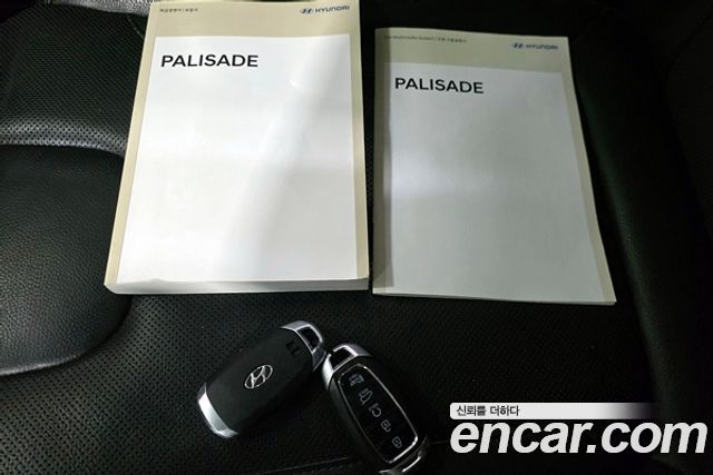 Hyundai Palisade Diesel 2.2 2WD Prestige 2020 — фото 24