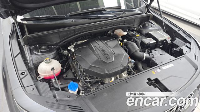 Kia Sorento (IV) Diesel 2.2 2WD Noblesse 2023 — фото 6