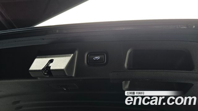 Hyundai Santa Fe (TM) Gasoline 2.0T 2WD Exclusive Special 2019 — фото 27