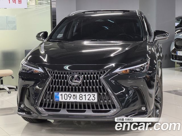 Lexus NX350h (II) Premium