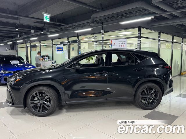 Lexus NX350h (II) Premium 2026 — фото 2