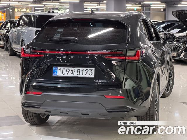 Lexus NX350h (II) Premium 2026 — фото 3